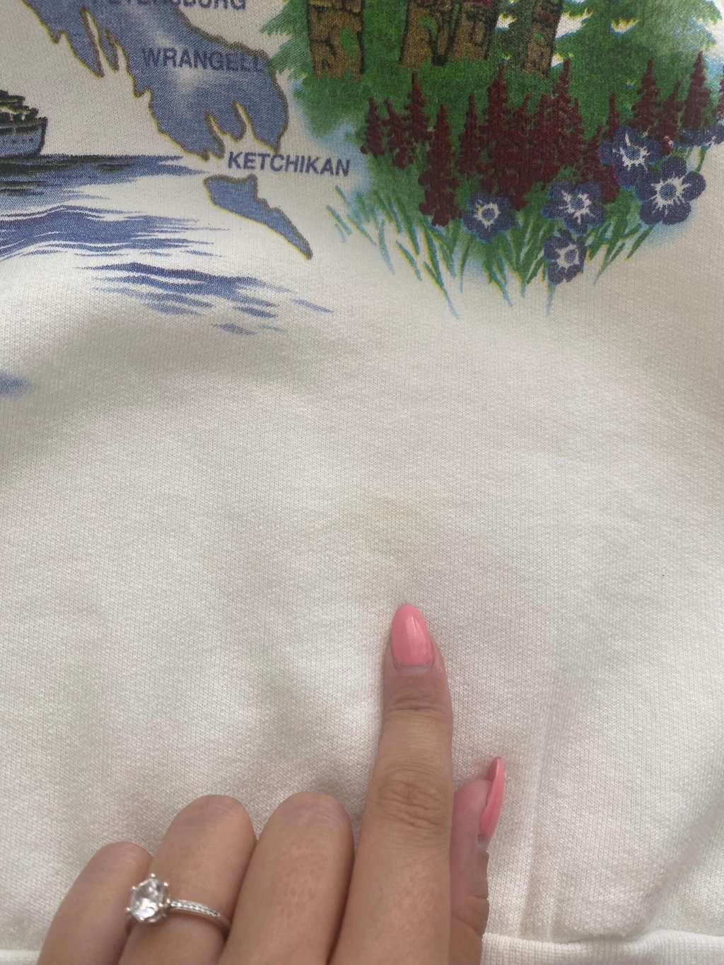 Epic vintage Alaska graphic sweatshirt in white - Large - Image 9