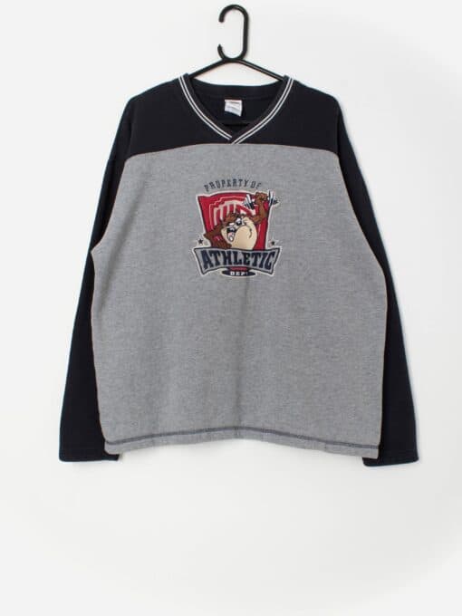 Warner Bros Studio cartoon sweater Taz devil sweatshirt embroidered grey - XL